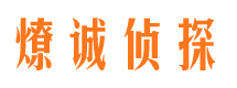 定南市私家侦探